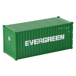 *Container 20 pieds Evergreen